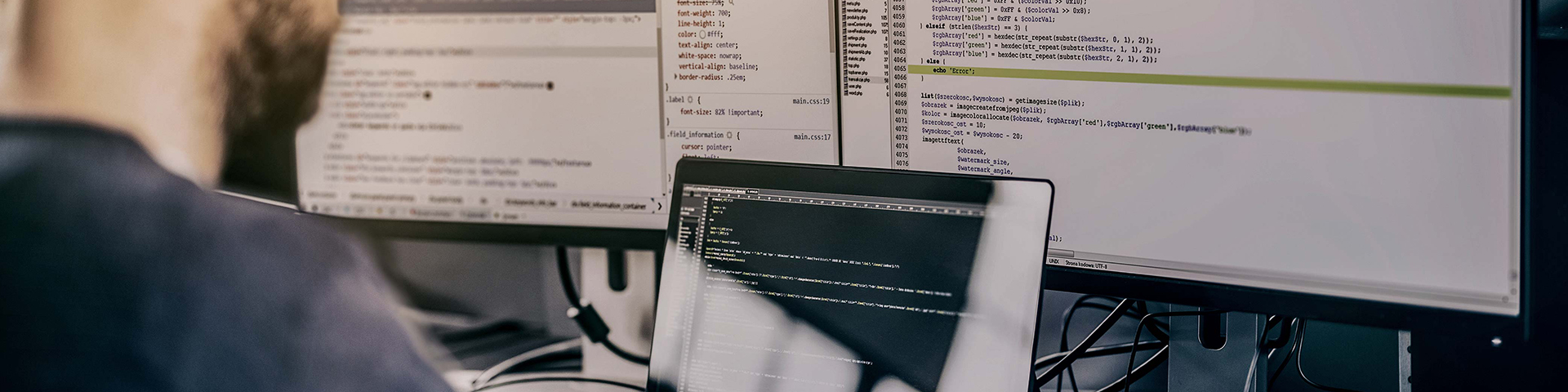 Профессия «Программист»: актуальность и особенности обучения в Университете «Синергия»